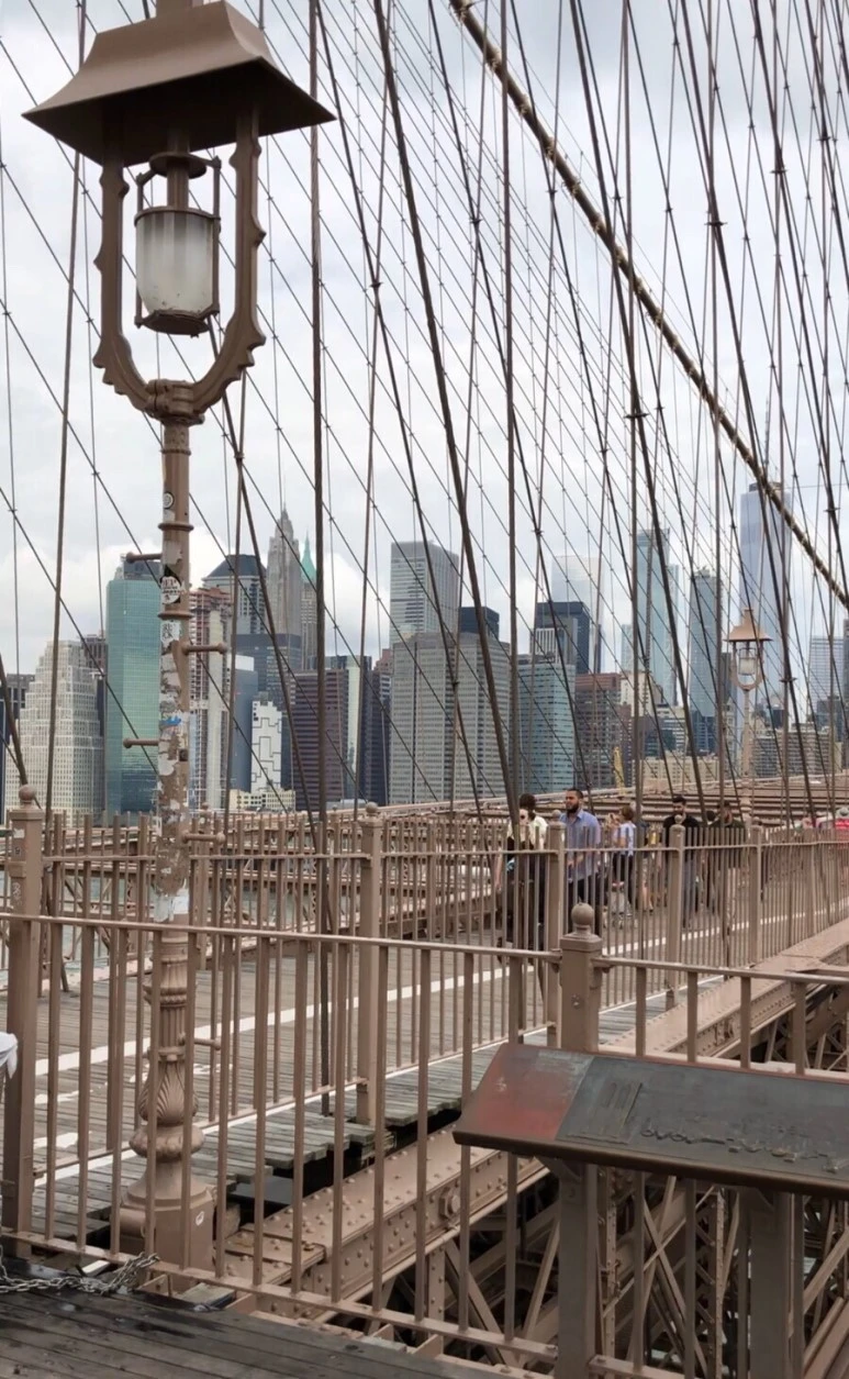 output_4203655989.jpg?type=w773