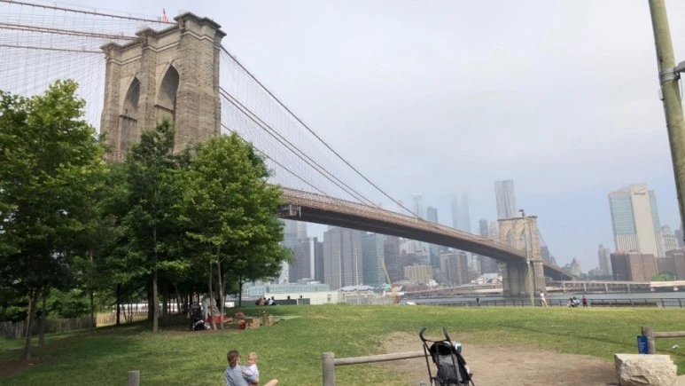 IMG_8688.jpg?type=w773