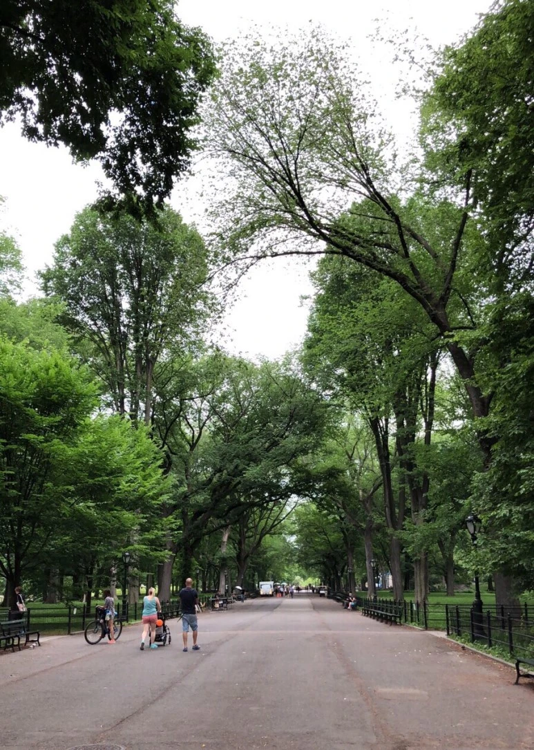 output_955403053.jpg?type=w773