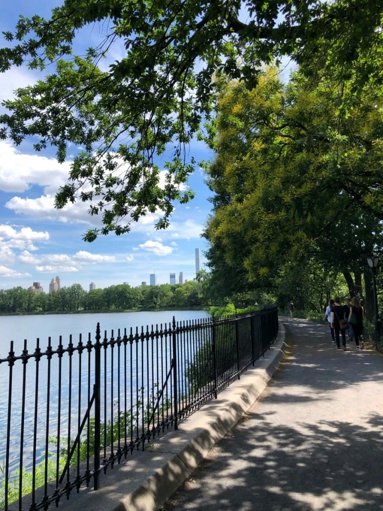 IMG_8928.jpg?type=w773