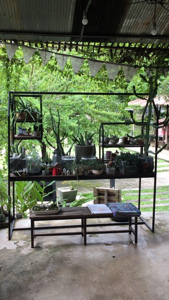 IMG_3786.jpg?type=w773