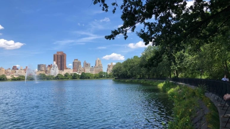 IMG_8913.jpg?type=w773