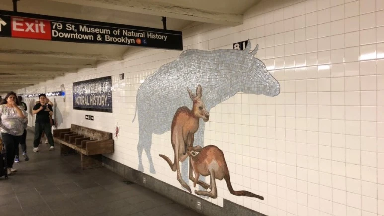 IMG_8898.jpg?type=w773