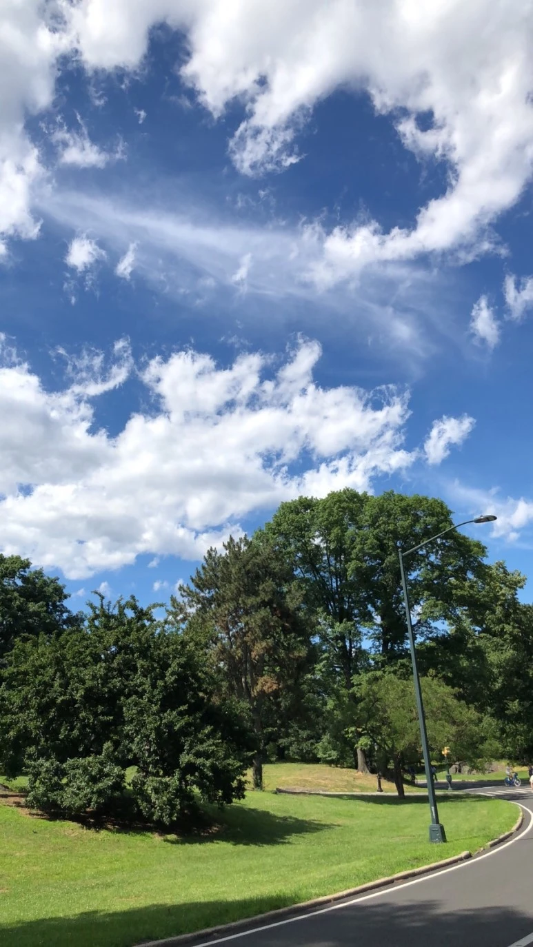 IMG_8932.jpg?type=w773