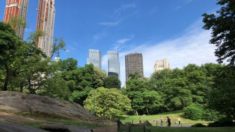 IMG_8096.jpg?type=w773