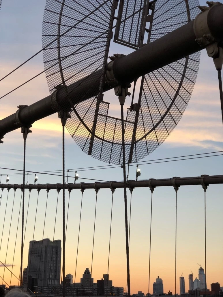 IMG_9050.jpg?type=w773