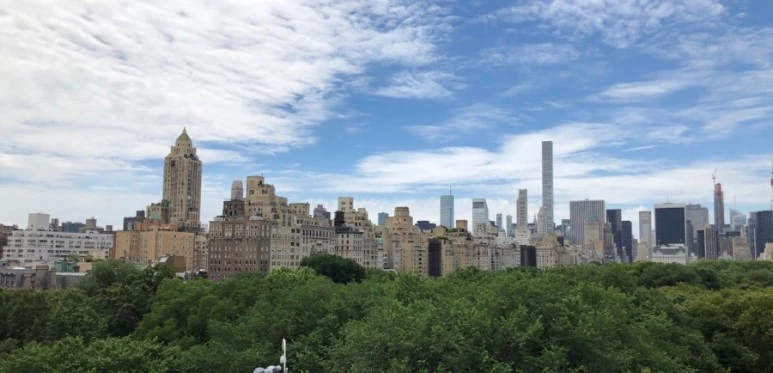 IMG_8161.jpg?type=w773