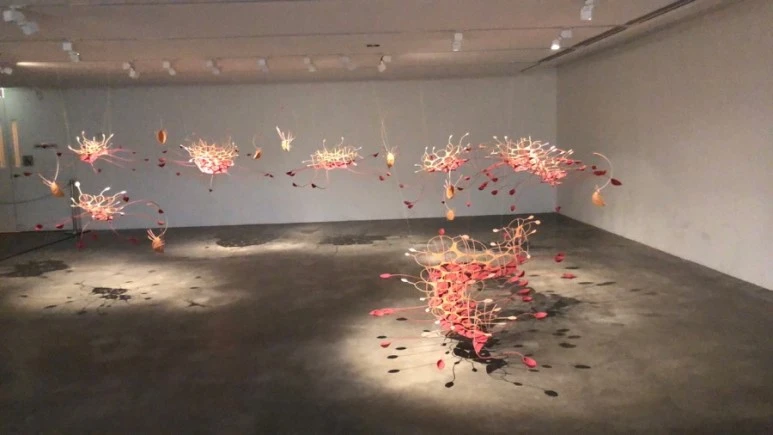 IMG_8302.jpg?type=w773