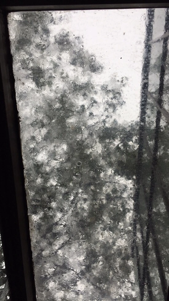 526373455.048662.jpg?type=w773