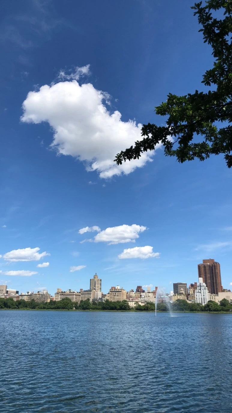 IMG_8920.jpg?type=w773