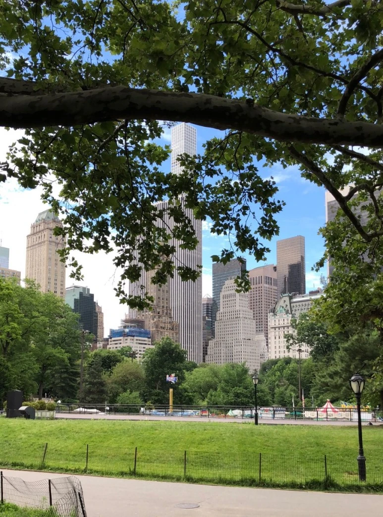 IMG_8101.jpg?type=w773