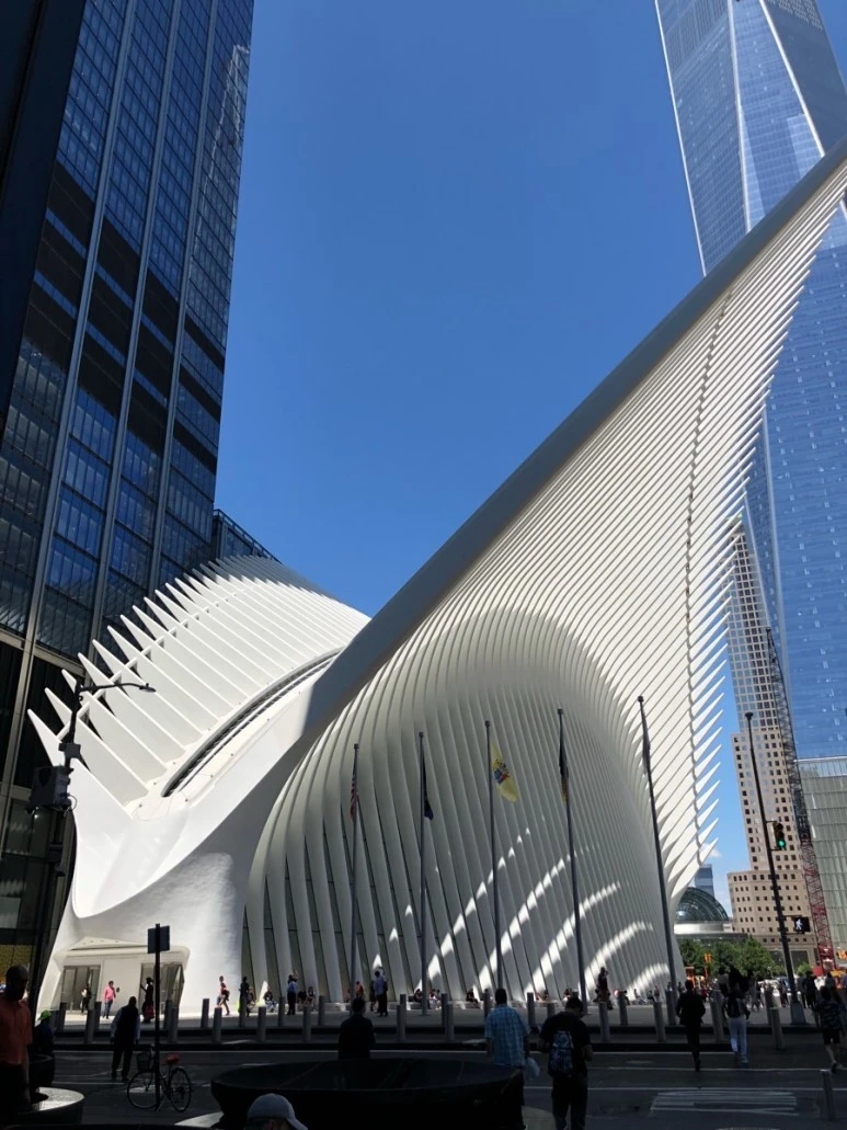 IMG_8277.jpg?type=w773