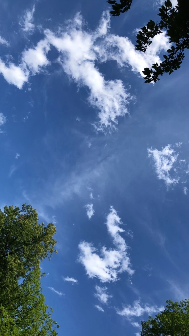 IMG_8933.jpg?type=w773