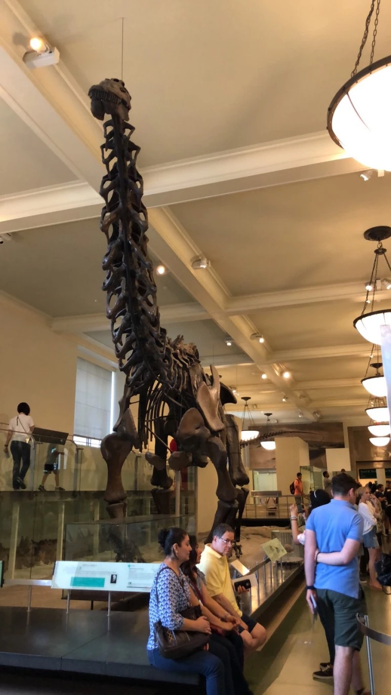 IMG_8783.jpg?type=w773