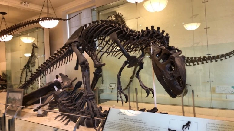 IMG_8781.jpg?type=w773