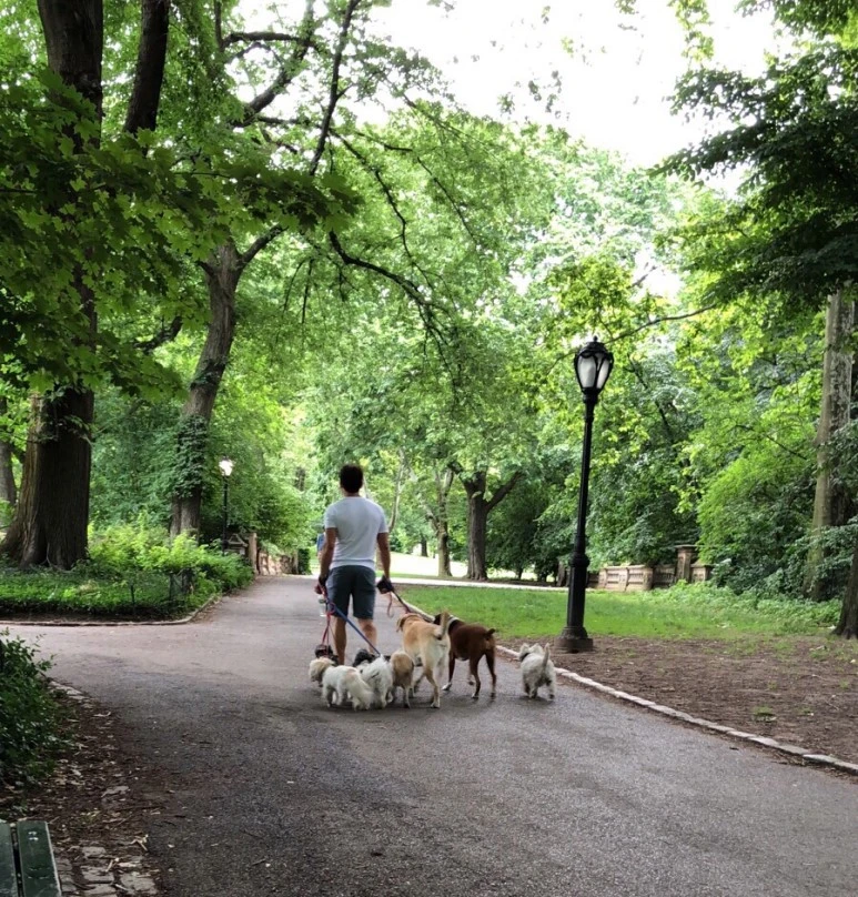 output_872934387.jpg?type=w773