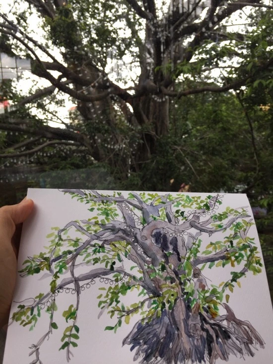 IMG_3692.jpg?type=w773