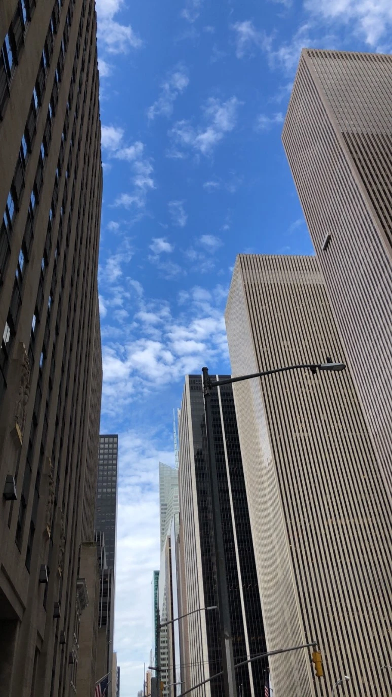 IMG_8087.jpg?type=w773