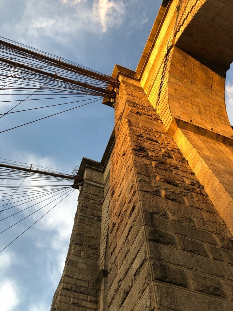 IMG_8996.jpg?type=w773