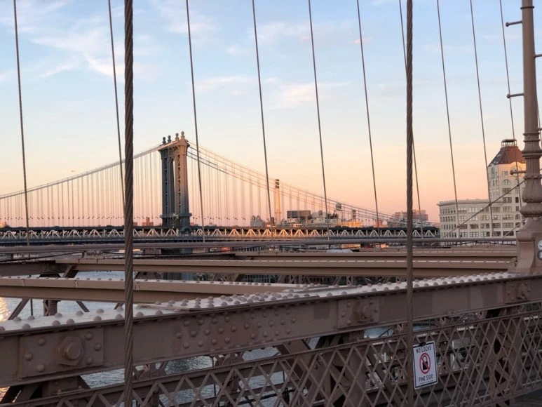 IMG_9006.jpg?type=w773