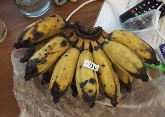 output_2595315791.jpg?type=w773