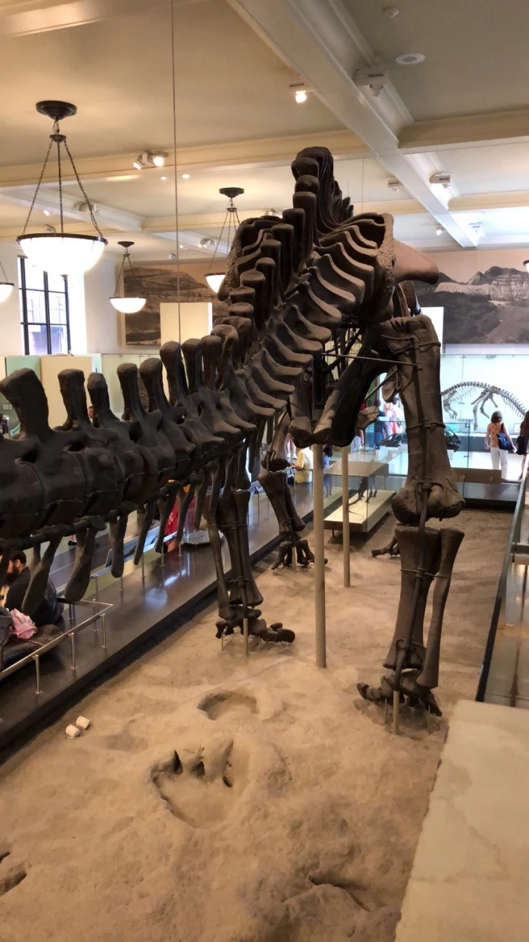 IMG_8787.jpg?type=w773