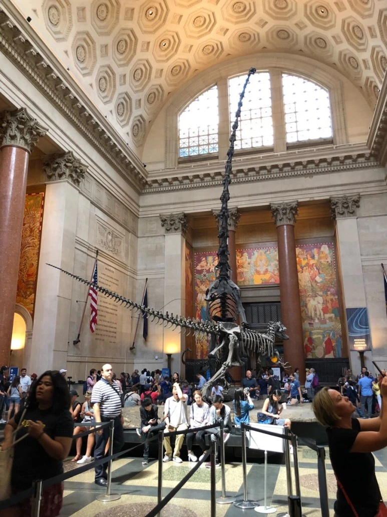 IMG_8907.jpg?type=w773