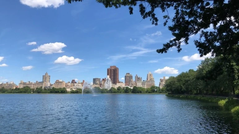 IMG_8914.jpg?type=w773