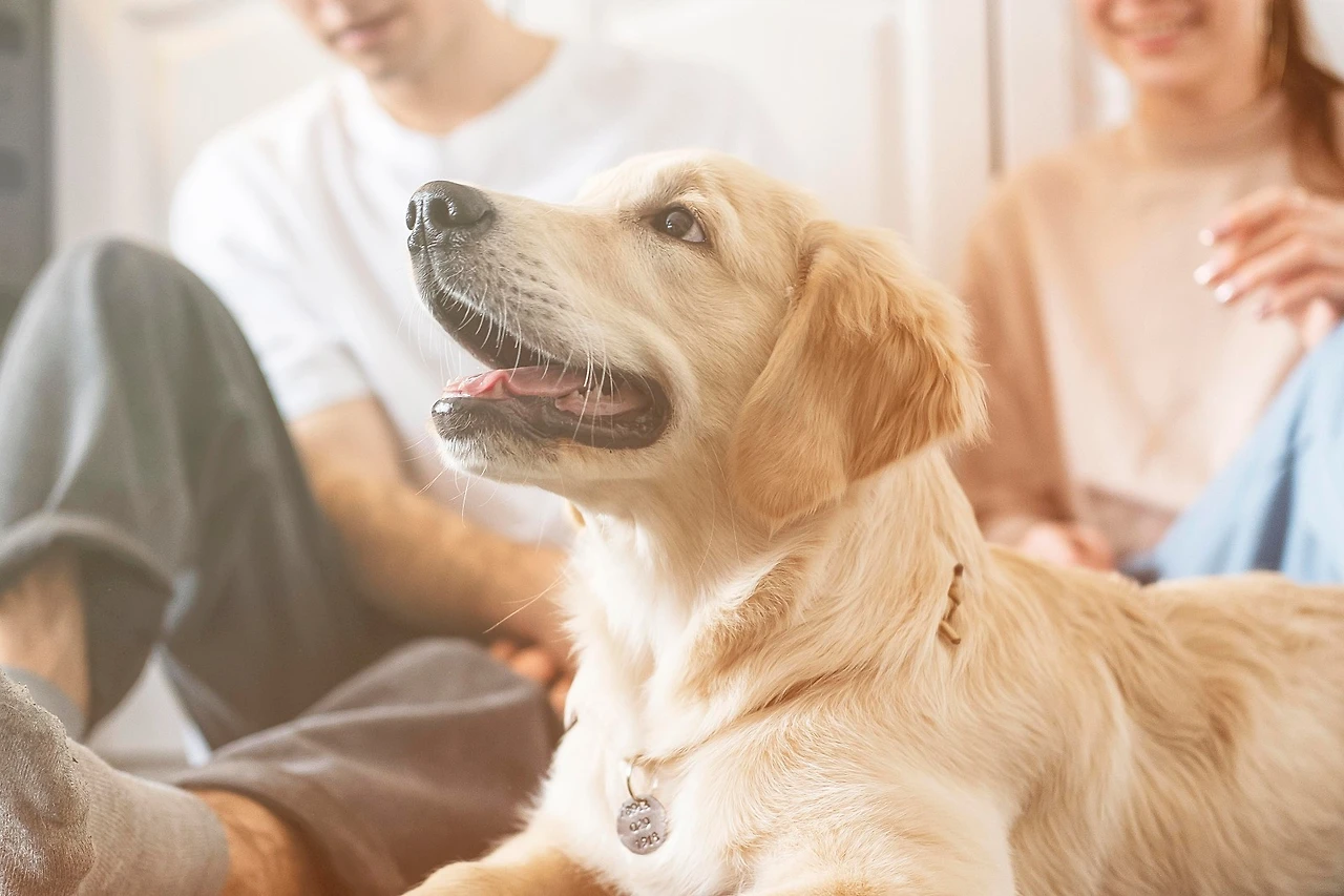 close-up-couple-with-dog-indoors.jpg?type=w1600