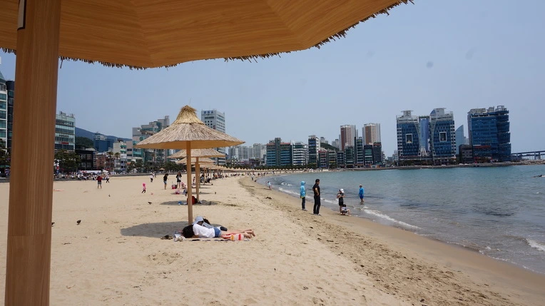 240CC435592E164804F0AD