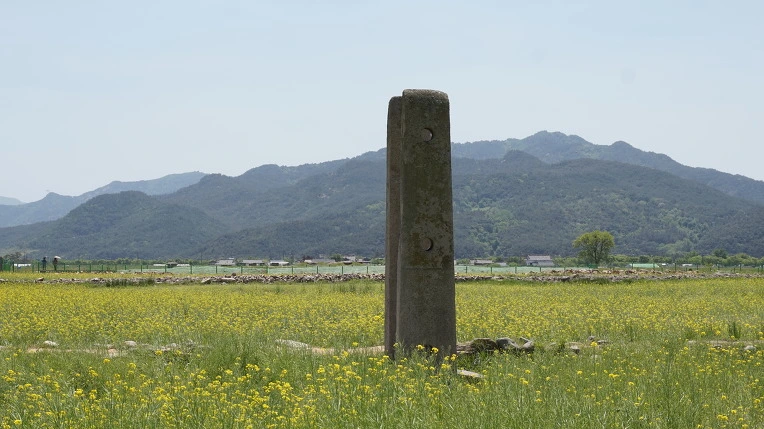 247D1943590C056519229C