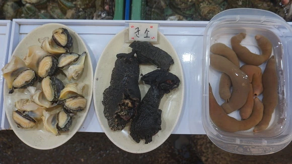 270E804057FB8E4916881F