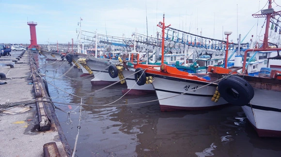 2419534057FB8E41098A6D