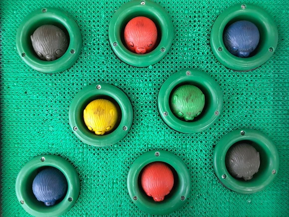 221E654957DF5B0D34ACA7