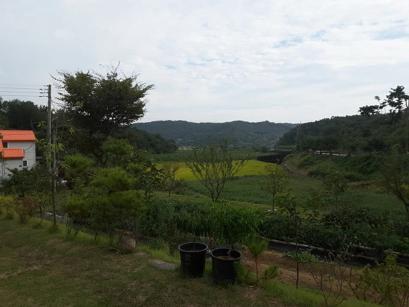 2522AE3F57E2669414B73C