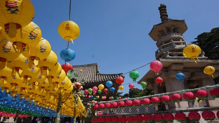 26644343590C0553254F13