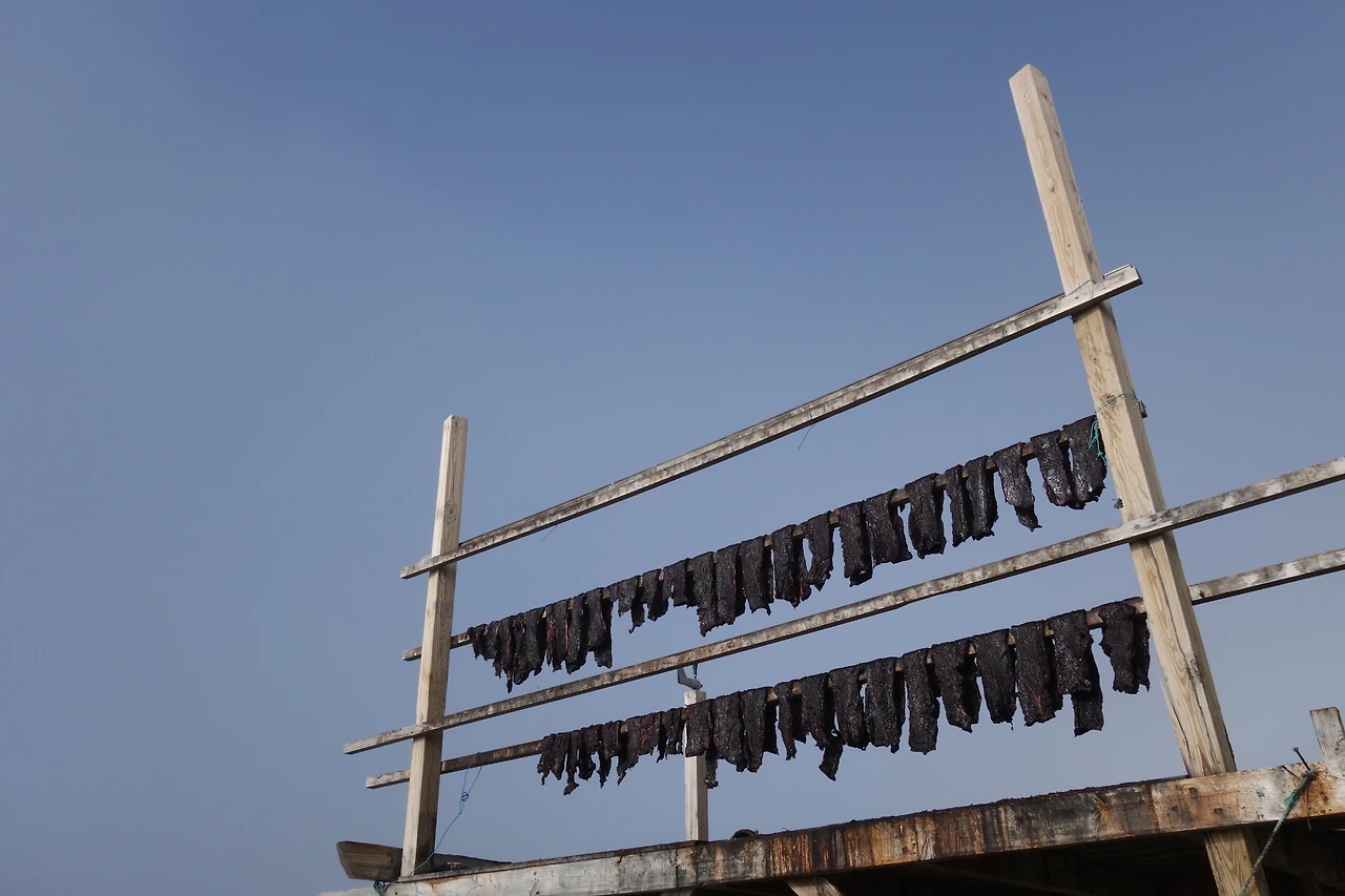 말린 턱수염바다표범 고기.JPG