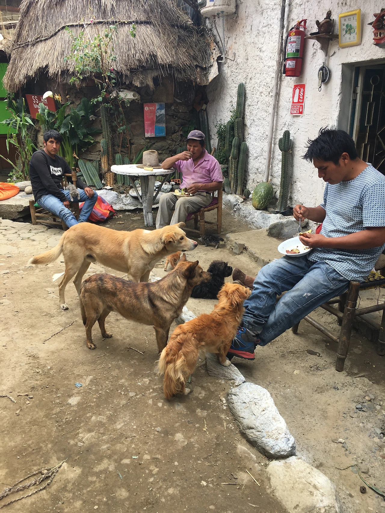 동물들도 끼니 때마다 모여든다.JPG