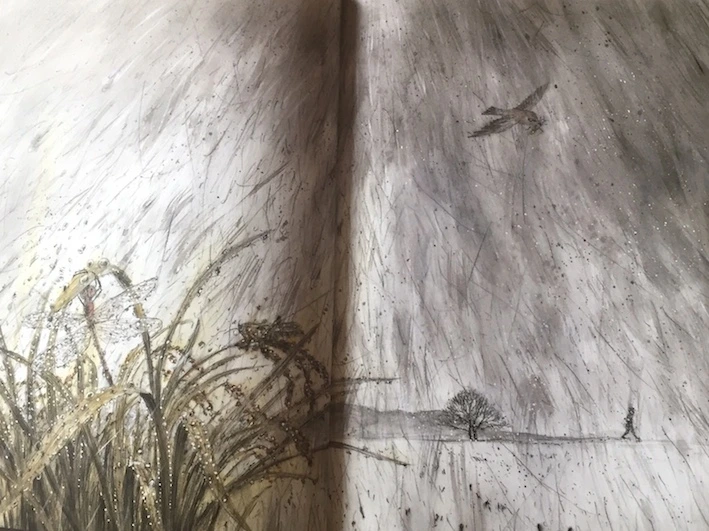 %BA%F1%BF%A1%B5%B5_3.jpg?type=w773