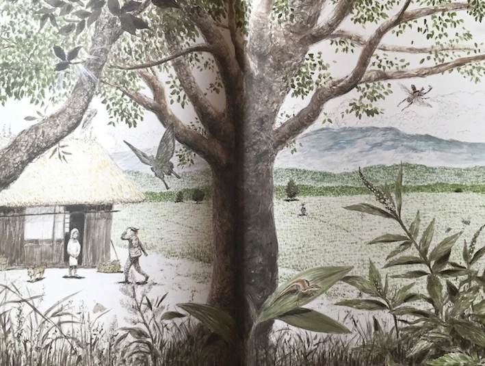 %BA%F1%BF%A1%B5%B5_4.jpg?type=w773