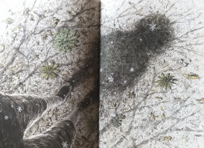 %BA%F1%BF%A1%B5%B5_5.jpg?type=w773