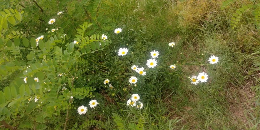 1589728953980.jpg?type=w1