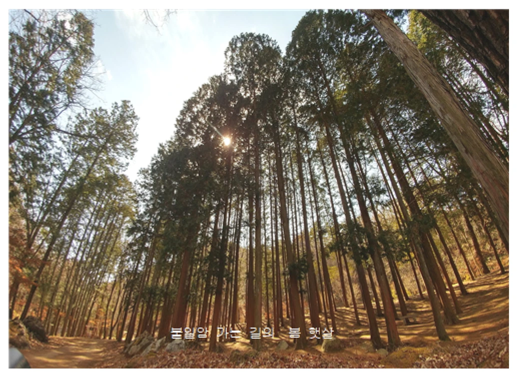 순천6-2.PNG