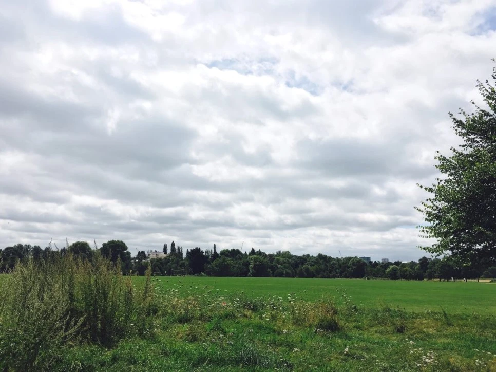 image_6541653361472728795215.jpg?type=w966