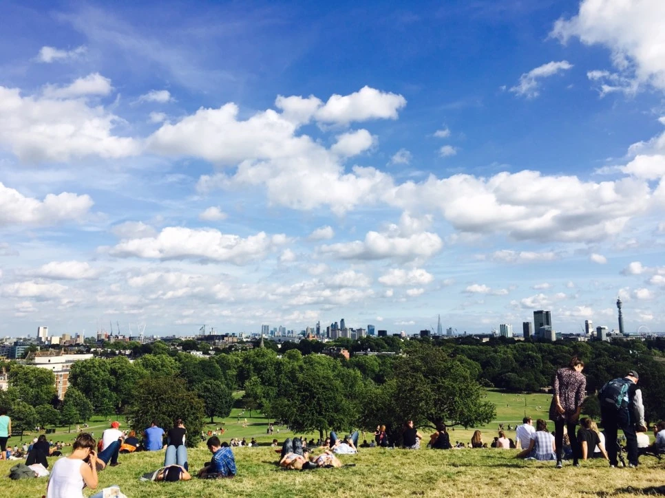 IMG_2542.JPG?type=w966