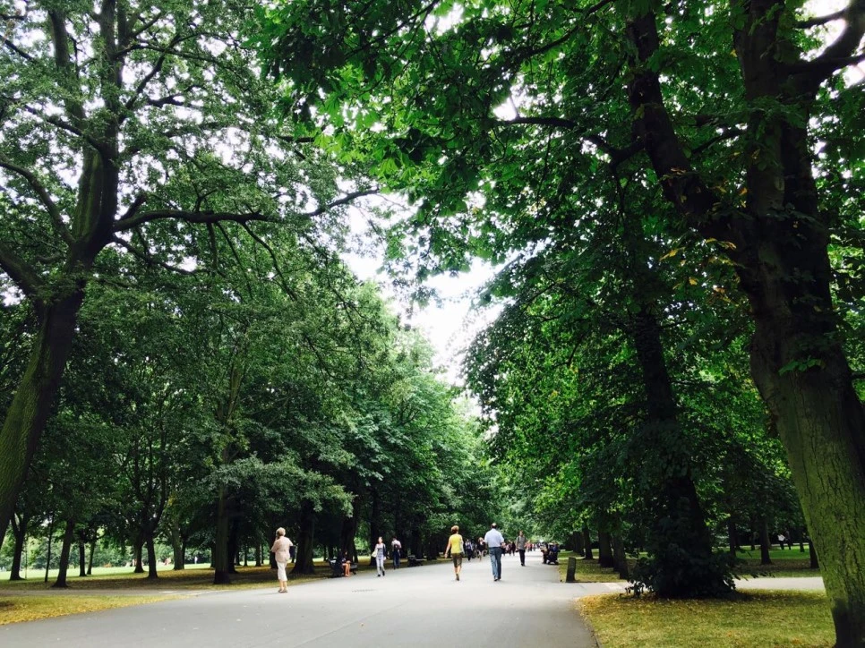 IMG_4488.JPG?type=w966