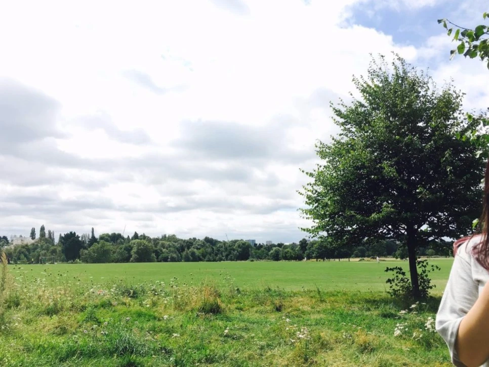 image_6116249701472728843755.jpg?type=w966