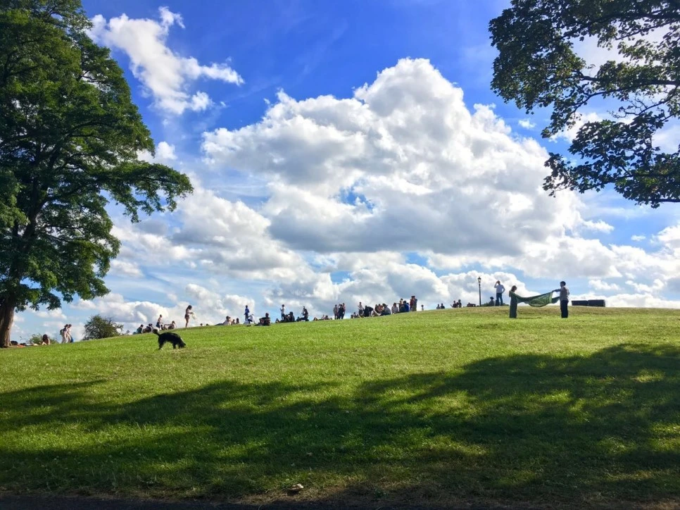 IMG_4470.JPG?type=w966