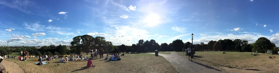 IMG_2446.JPG?type=w966