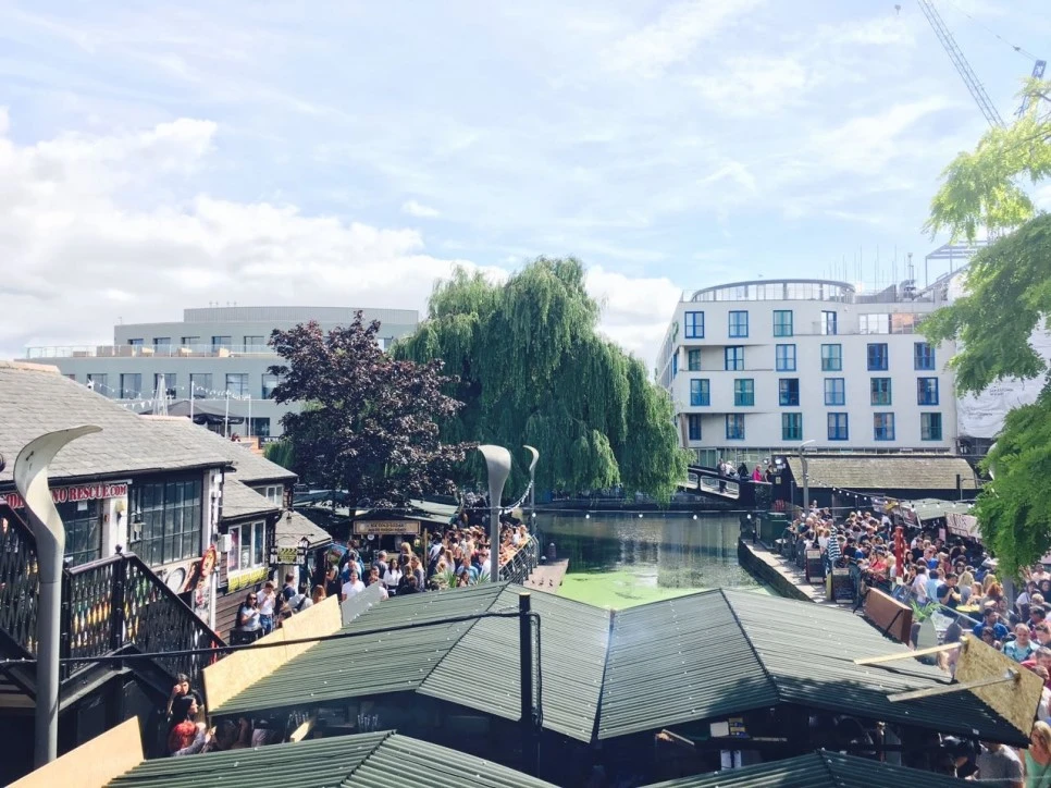 IMG_4462.JPG?type=w966